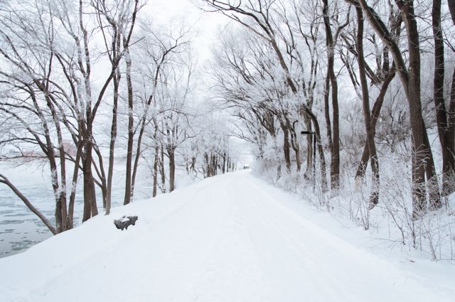 winter, snowy lane